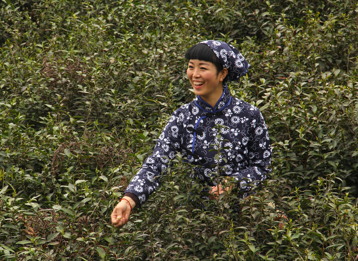 香烟与手铐